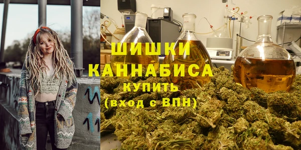 spice Алзамай
