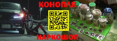 прущие грибы Партизанск