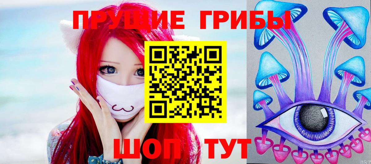 Галлюциногенные грибы Cubensis Курск