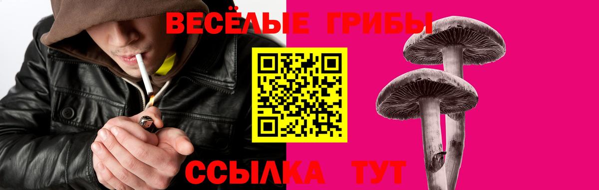 Галлюциногенные грибы Psilocybe  Вход с VPN  Курск 